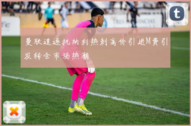 曼联追逐托纳利热刺高价引进M费引发转会市场热潮